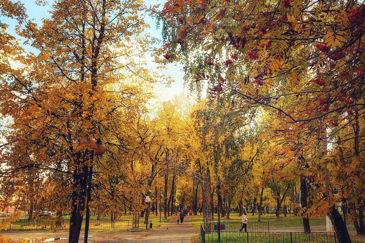 Парк им. Олега Степанова