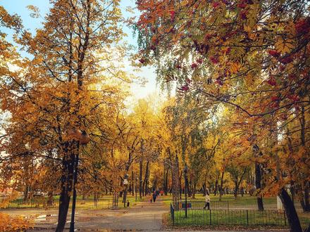 Парк им. Олега Степанова