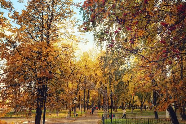 Парк им. Олега Степанова